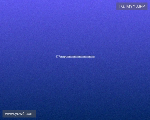 377体育app官网下载最新安全版本全方位功能介绍与使用指南